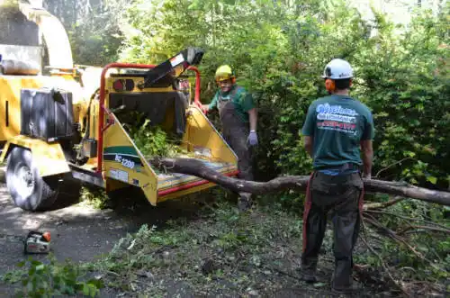 tree services Genoa